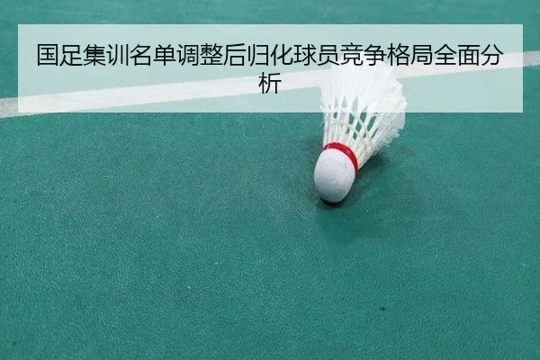 国足集训名单调整后归化球员竞争格局全面分析
